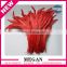 Hot sale fashion decoration chicken feather for hats