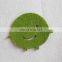 Felt Drink Coaster Cup Mat