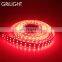 DC12V DC24V High lumen cheap price SMD5050 led strip light