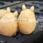 baking equipment mini waffle maker  totoro waffle machine carton waffle machine