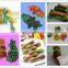 Puppy/Dog Chew/Dog Product Extruder Line