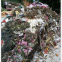 Fireprint Community waste reduction equipment