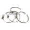 Automobile oil and water pipe hose clamp Car color galvanized elastic metal hose clamp clamp