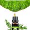 Tea Tree Essential Oil For Skin Body Aroma Humidifier Diffuser In Bulk Price Pure  Natural