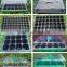 Plastic seed tray for greenhouse