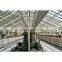 high quality multi-span glass greenhouse with hydroponic system for agriculture price