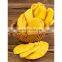 Natural Fruit AD Drying Process Sliced Original Flavor Bulk Dehydrated Soft Dried Mango For Snack Dessert