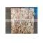 Good price frozen boston illex squid block