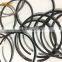 Construction machinery parts LG956L 6M1013 piston ring 0425 3389 04253389 ring for BF6M1013
