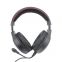 Direct Sale Low Price Headset USB Computer Headphone with Noise Cancellation Microphone for Office HD811