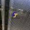 45gsm 50gsm 60GSM manchuan Anti Hail Net HDPE Cold Net 6m 8m Width UV Hail Netting
