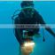 Gopros Mount lamp Waterproof underwater Diving LED Light Lamp For Go pro