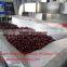 High Quakity Fruit Dryer Machine With Best Service