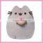 High quality popular cute pusheen cat cushion