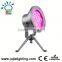 IP68 swimming pool fountain Pond 36w led underwater light marine light                        
                                                Quality Choice