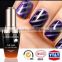 Competitive Factory Lowest Price Cat Eye Matte Black Nail Polish