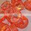 Printed Paper Red Elk String New Christmas Lights