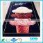 PP plastic Correx board printing for advertisement materials