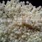 PP Pellets Recycled