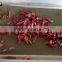 automatic pepper stem removing machine/chili stem cutting machine