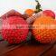 Fashion top sell sausage dog toy