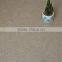 PG4501-2 pvc smooth marble texture floor covering