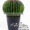 Artificial Mexico Cactus For Decor