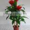 China wholesale home decoration artificial bonsai tree plastic artificial plants bonsai handmade artificial bonsai