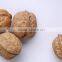 Supply Walnut Kernel, Walnut in Shell with high quality