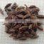 we are supplying the newest crop Tsaoko with gigh quality from CHINA