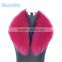 Long Rose Color Fox Fur Shawl Collar for Ladies Fur Coat Clothes