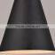 2015 hot sale indoor metal pendant lights