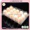 Cheap PVC PET 15 plastic chicken egg tray price