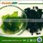 DRIED WAKAME SEAWEED