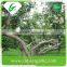 Emerald cheap su pear exporter