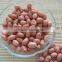 Groundnut Peanut Kernels