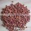 wholesale big size blanched peanut kernels(ground nut seeds)