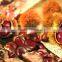 Hot sale top quality bulk raw chestnuts for sale