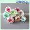 Natura Real Preserved Blue Austin Rose Heads For Festival Gift