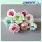 2016 Wholesale real natural preserved roses birthday gift preserved flower