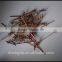 Disposable Bamboo Skewers, Red Bamboo Fruit Skewers