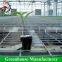 Optimise conditions greenhouse growing rolling benches