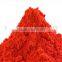 Gulal Holi Color Powder