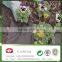 pp nonwoven fabric for weed mat