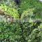 vertical grass wall synthetic top sale interior decor vertical green wall