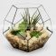 terrarium geometric glass terrarium wholesale plant vase