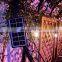 Environment Decorative Outfit String Lights With Solar Powered Panel 1W 2W