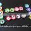 Polyester/Resin/Plastic Button