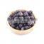 Sinocharm BRC A Approved Organic Nutrient-rich IQF Blueberry Frozen Blueberry