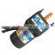 2RK6GN-C/2GN-100 1200 rpm 220v AC Voltage electric motor with reducer